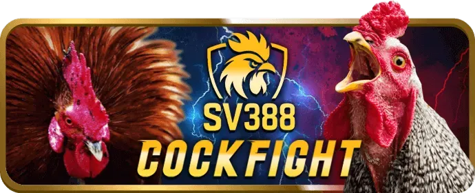 Tải B9Casino và đăng ký tài khoản